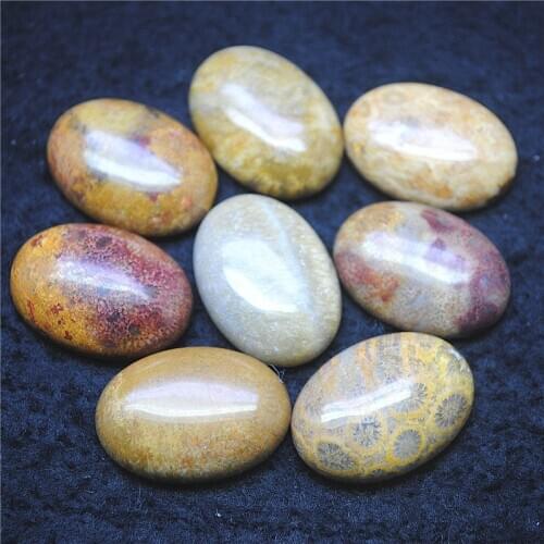 5pcs nature fossi stone cabochons 18x25mm oval shape natural loose beads accessories free shipping good for your sells