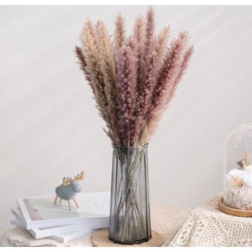 30cm Real Wheat Decoration Natural Pampas Rabbit Tail Grass Dried Flowers For Wedding Party DIY Craft Typha Phragmites