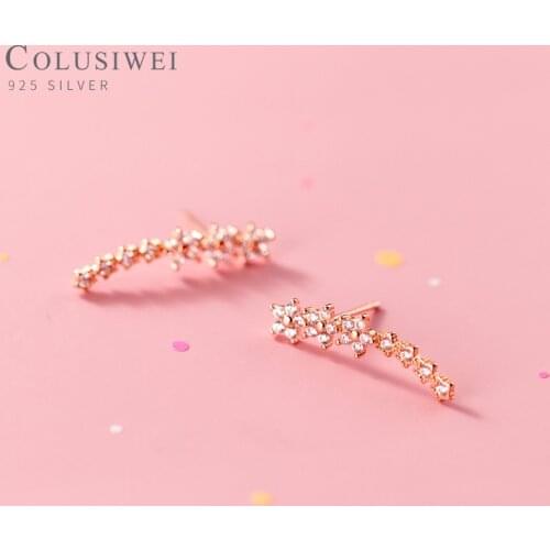 Colusiwei Authentic 925 Sterling Silver Bright Zircon Flower Star Luxury Row Stud Earring for Women Fashion Wedding Fine Jewelry