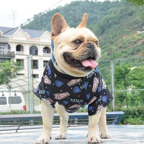 Fashion Dog Clothes T-Shirt Summer Vest 2020 Hot Pet Clothes Air-mesh Colorful Cool Design Puppy Dog Cat Bulldog Pitbull Clothes