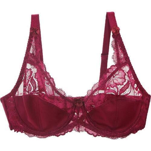 Plus Size Lace Sexy Bras Womens Big Size Bra Large Size 36 38 40 42 44 46 C D E Cup None Padded Brassiere Ultra Thin Wired Bra