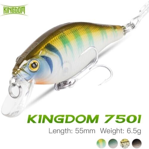 Kingdom Fishing Lure Crank Sinking Minnow Fishing Wobblers 55mm 6.5g Plastic Swimbait 4 Colors Long Casting Fishing Jerkbait