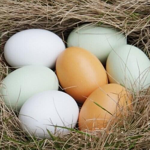 2PCS Baby kids Faux Fake Simulation Eggs Wooden play Easter Eggs DIY painting graffiti toys Play house Toys
