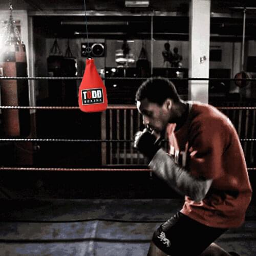Boxing Duck Training Punching Bag Home Boxing Exercise Equipment Gym Fitness Reaction Ball Swing Bag Boxing Dodge Empty PunchBag