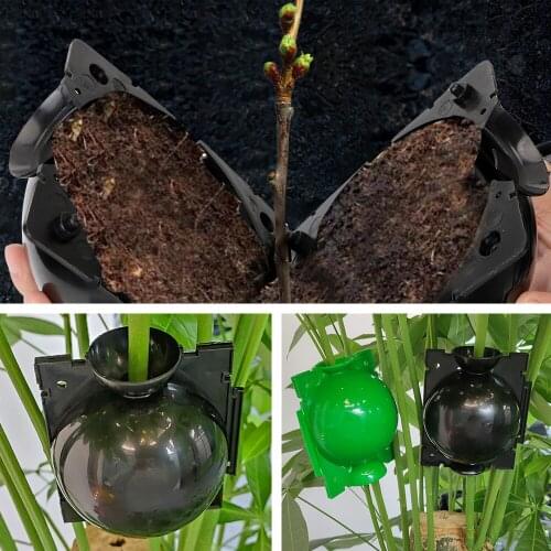 S/M/L For Garden Breeding Growing Box Plant Rooting Ball Grafting Rooting Garden Supplies Case Plant Root Growing Box