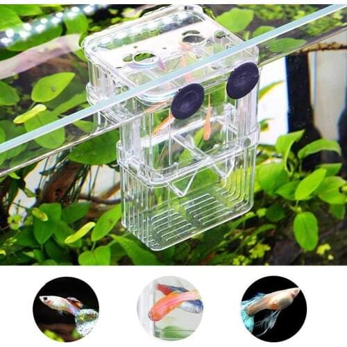 Newest Small Size Aquarium Breeding Box Fry Tank Incubator Guppy Isolation Breeding Breeder Accessories Trap Aquarium Suppl N3R4