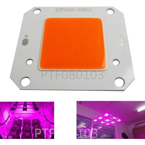 DC12V 50W COB LED Full spectrum 400-840nm High Powe Grow Light for hydroponics