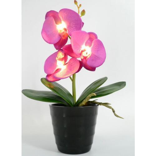 3 LED Battery Lighted Blossom Phalaenopsis orchid in pot Orchid Flower Bonsai Holiday Wedding PartyHome Decoration Birthday Gift