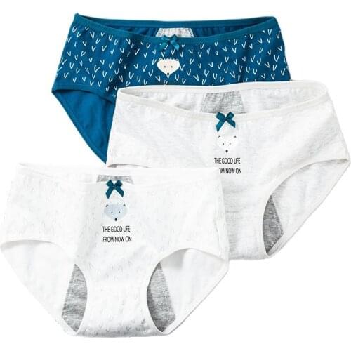 LANGSHA 3Pcs/lot Women Period Panties Leak Proof Menstrual Physiological Pants Underwear Girls Healthy Cotton Seamless Briefs