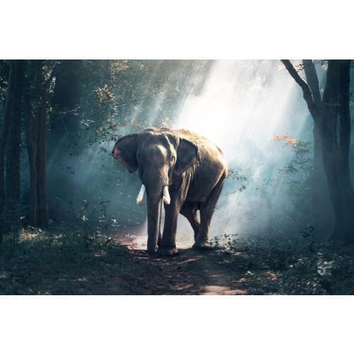 Rhinestone Embroidery Handicrafts 5D Diamond Painting DIY Diamond Embroidery Elephant Forest Mosaic Gift Wall Arts Decor