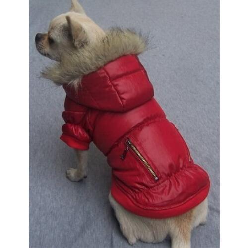 SweetDog Jackets For Dogs