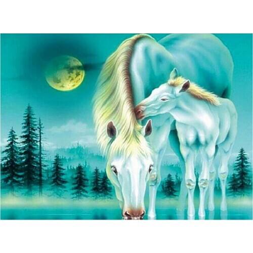 Full drill square round diamond painting horse kiss diamond embroidery moon scenery 5d diy handmade 2020 christmas gift