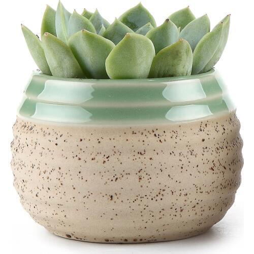 Clay Glazed Stripe Oblate Succulent Cactus Plant Pot Flower Pot/container/planter Beige