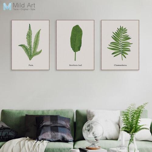Minimalist Green Monstera Fern Plants Leaf Posters Prints Sandinavian Living Room Wall Art Pictures Home Decor Canvas Paintings