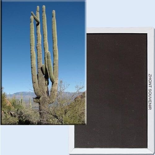 78*54mm Travel Fridge Magnets 21441,Saguaro Tourist Magnets;world scenery tourist area
