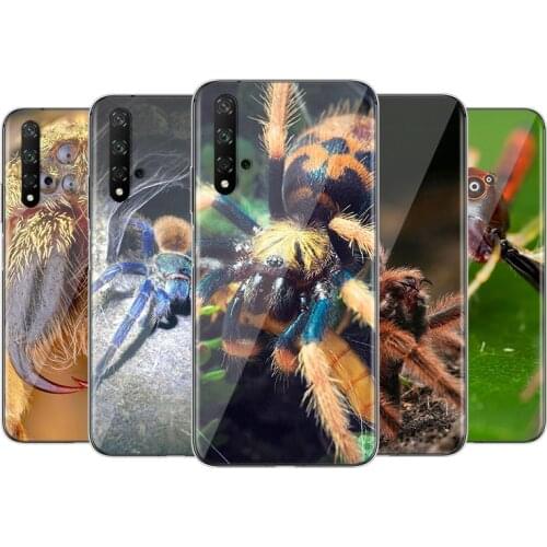 Various Spiders Silicone Cover For Huawei Honor 9X 9N 9 Lite 8S 8C 8X Play 8A 8 V9 3E 7A 7C Pro Phone Case