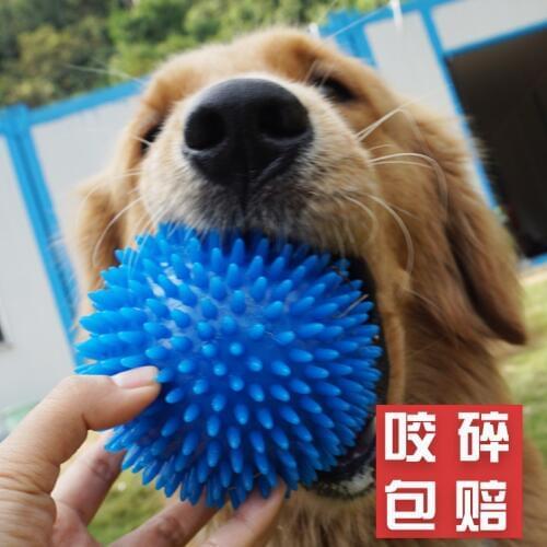 Dog Toys Sound Elastic Force Ball Dog A Molar Tooth Toothpick, Golden Ball, Teddy Labrador Pets Articles