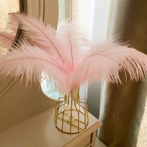 Nordic pink feather decorated tulip vase dry flower DIY material ornaments home living room furnishings