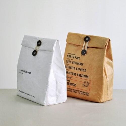 Nordic Creative Tyvek Insulated Lunch Box Bag Lunch Bag Artistic Lunch Box Bag Handbag Korean Style Fresh and Waterproof