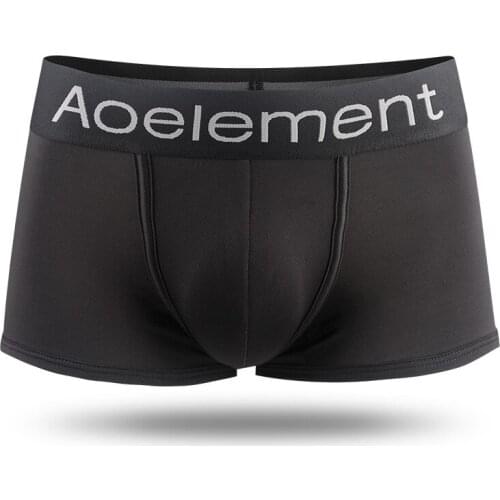 New Underwear Mens Boxers Shorts Homme Ice Silk Panties Breathable Pouch Underpants Sexy Penis Male Clothing Plus Size L-3XL