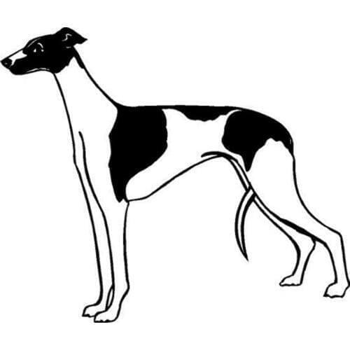 17*14.4CM Greyhound Dog Car Stickers Waterproof Vinyl Decal Car Styling Bumper Decoration Black/Silver S1-0606