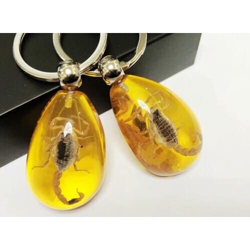 10 pcs Gold Scorpion Insect Yellow Color KeyChain Taxidermy Display