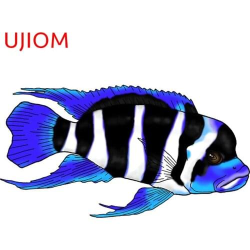 UJIOM Big Head Fish Toilet Sticker Home Decoration Living Room Decor Waterproof Wall Stickers Funny Computer Poster Decals