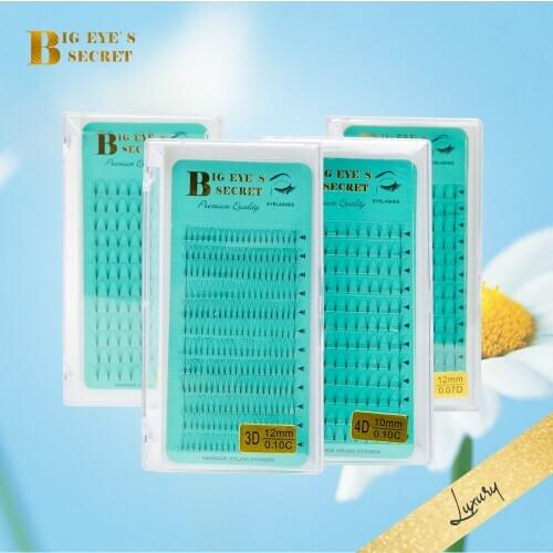 Big eyes secret Premade Volume Fans 3d/4d/5d/6d Lash Russian Volume Eyelash Extensions Pre made Faux Mink Lash Extension