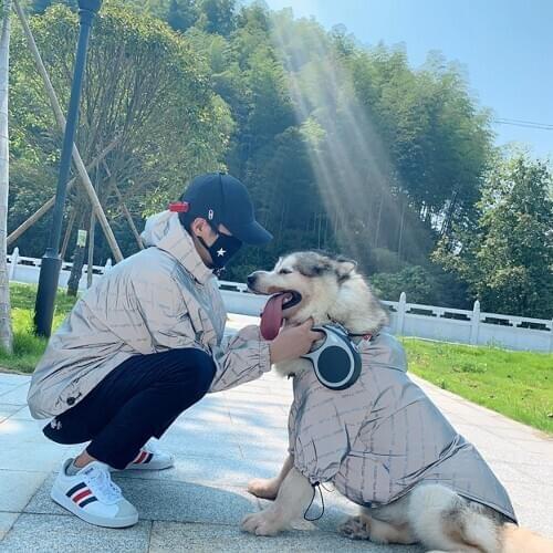 Fashion Letter Reflective Waterproof Raincoat Pet Clothes Puppy Doberman Labrador Husky Alaska Jacket For Medium Large Dog