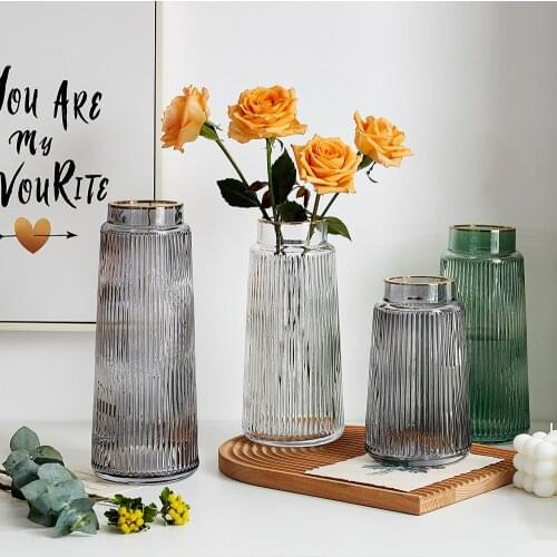 Modern Living Room Vases Transparent Flower Vase Decoration Home Glass Decor Gifts Glass Vase Table Decor Living Room Tall Vase