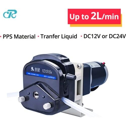 Chuangrui DC 12V Motor OEM Mini Peristaltic Pump