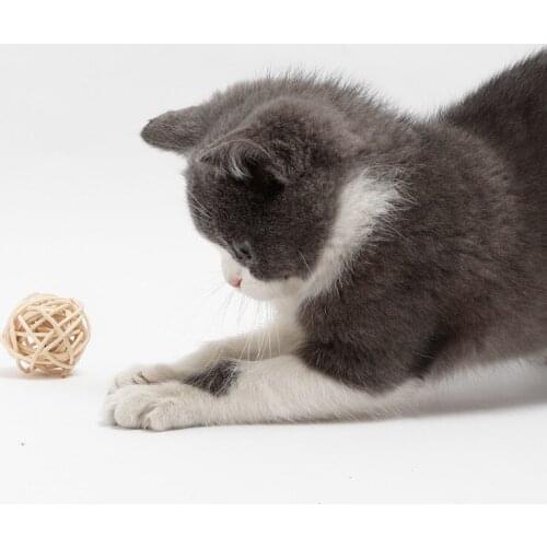 Cat Toys Interactive Braiding Rattan Ball Cats Training Toy Pet Supplies Products Squeak Feather Toys For Pets Acessorios