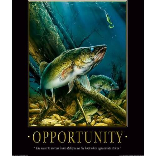 26style Choose Fishing Motivational Art Film Print Silk Poster for Your Home Wall Decor 24x36inch