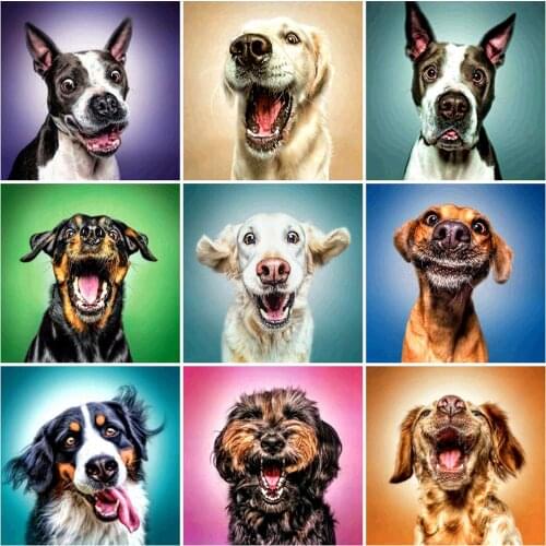 HUACAN Dog Diamond Painting Full Drill Square Animal 5D Diamond Art Embroidery Decoration For Home Gift