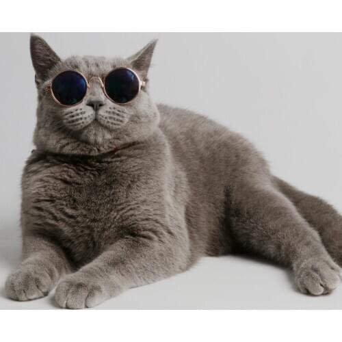 1PC Fashion Glasses Small Pet Dogs Cat Glasses Sunglasses Eye-wear Protection Pet Cool Glasses Pet Photos Props color