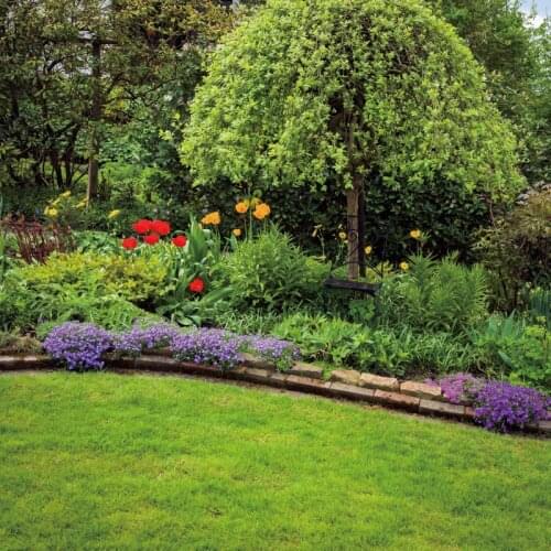 Laeacco Spring Garden Park Green Grass Lawn Shrub Flowers Scenic Photographic Background Photocall Photo Backdrop Photo Studio