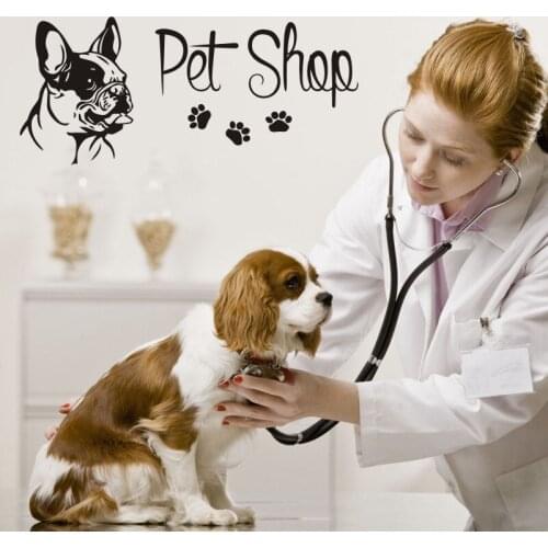 Grooming Salon Decal Pet Shop Wall Sticker Posters Vinyl Art Decals Parede Decor Mural Pet Clinic Decal Sticker
