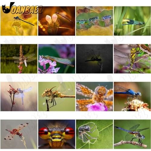 Flying Dragonfly Diamond Painting 5D Diy Wall Art Abstract Animal Dragonfly Eyes Round Diamond Inlaid Home Room Decoration