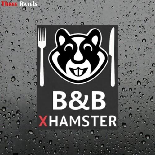 Three Ratels FC53# Funny Cool B&B XHAMSTER Stickers DIY Car Styling Sticker For Motorcycle Bike Suitcase