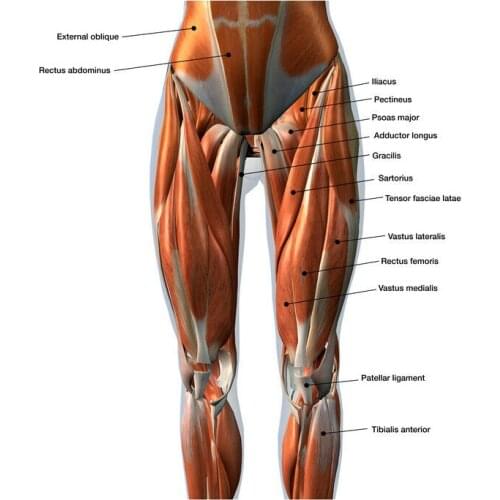 Ballet Dancers Stretched Girl Dance Dancing Art Film Print Silk Poster for Your Home Wall Decor 24x36inch