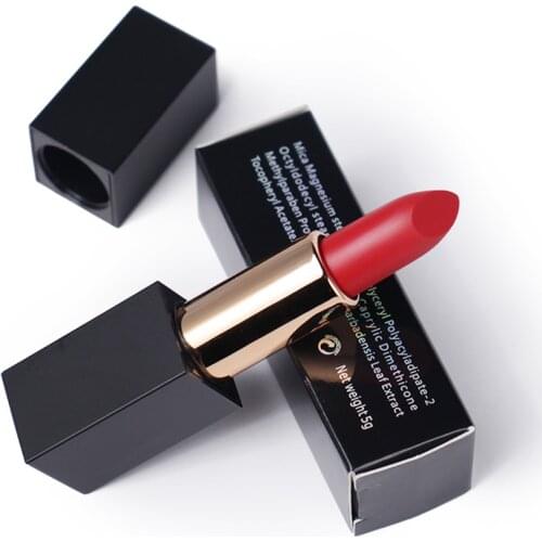 10 Piece Custom Wholesale Lipstick Waterproof Matte Lipstick Private Label Professional Lip Stick Makeup Low Moq