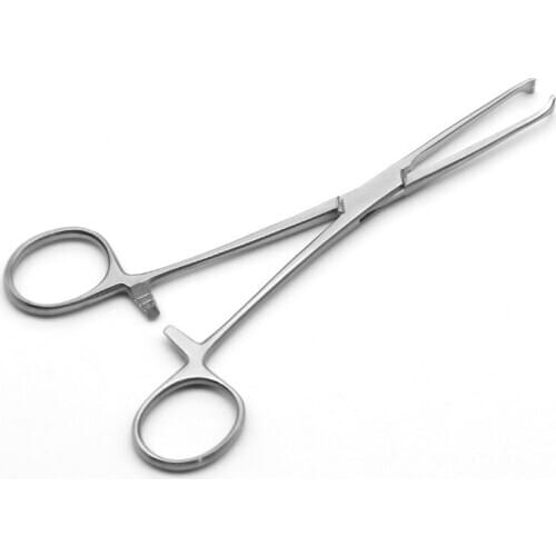 Beauty plastic tissue forceps Mouse tooth forceps Leather forceps Alice forceps Alice forceps Clip forceps Hospital models