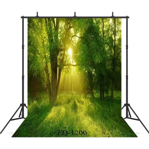 Sunlight Woods Photography Backdrop for Photograph Accessories Vinyl Cloth Photo Background Children kids Baby Shower Photocall