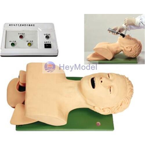 HeyModel Electronic Tracheal intubation model (with teeth pressure report) CRP / J5S with alarm
