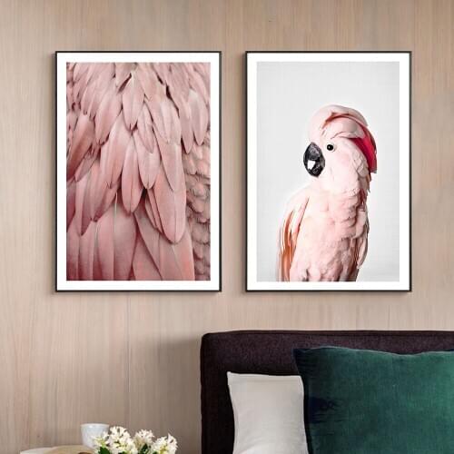Pink Parrot with Feather Wall Art Print Canvas Painting Nordic Animals Posters and Prints Wall Pictures for Living Room