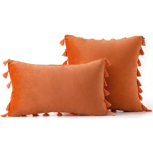 Soft Velvet Tassel Cushion Cover Decorative Pillows Throw Pillow Case Solid Luxury Home Decor BedLiving Room Sofa Seat Cushions