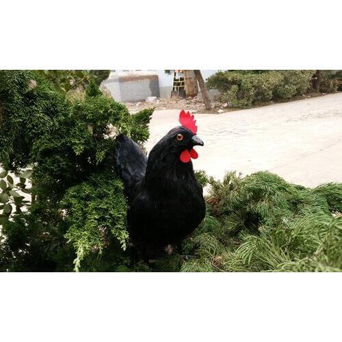 Black creative simulation chicken toy resin&fur big cock model gift about 40x39x18cm 1081