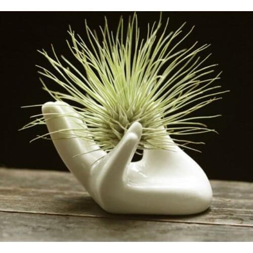 Porcelain Ceramic Air Plant Tillandsia Holder Flower Office Desk Decor Chic Home Decoration 45g 8x5x4.7cm