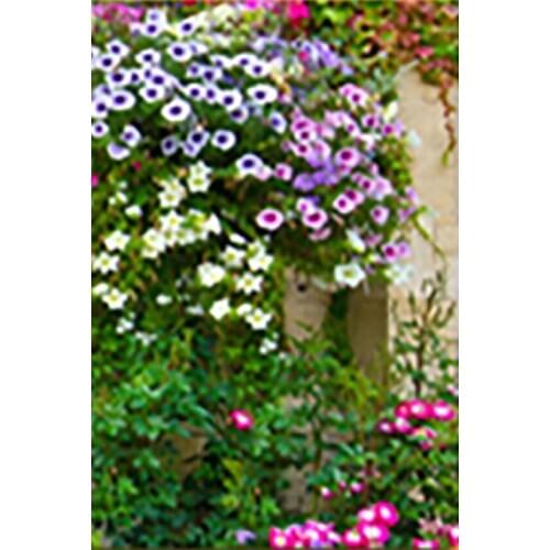 Snowing style Embroidery Counted Cross Stitch Kits Needlework - Crafts 14 ct DMC Color DIY Arts Handmade B7681