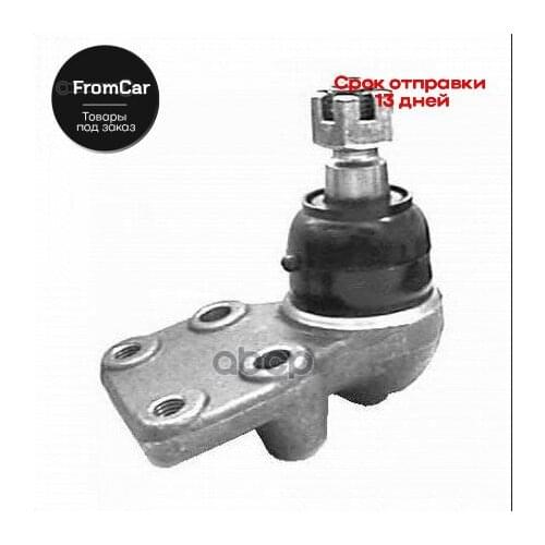 Vema Transport And Accessories